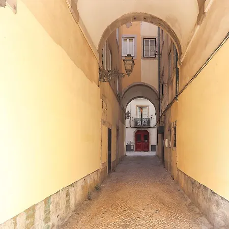 Santos Tiny By Homing *