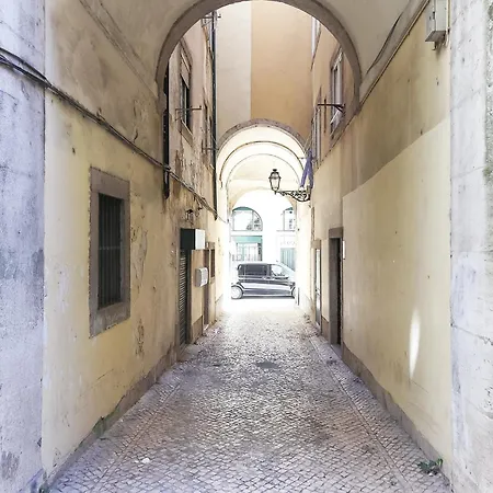 Santos Tiny By Homing